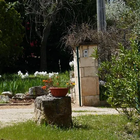Guest house Trullimonaci