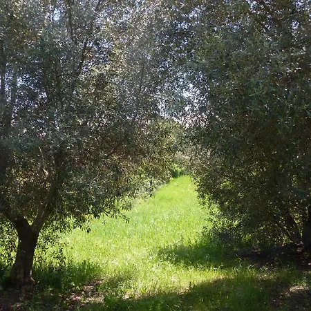Trullimonaci