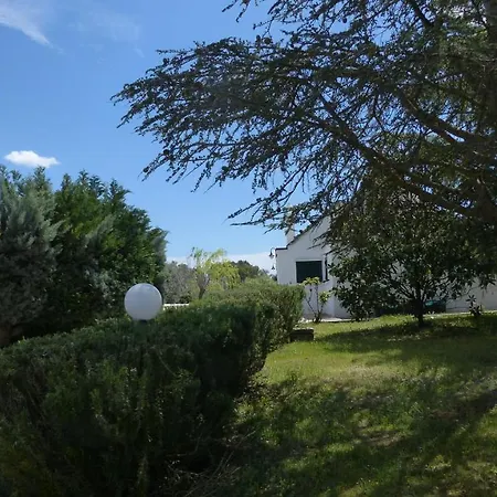 Guest house Trullimonaci *